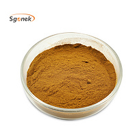 Professional Manufacture Organic Kelp extract