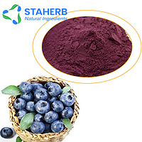 Bilberry Extract Blueberry Extract BBE Bilberr Anthocyanin OPC anthocyanosides Anthocyanidin anthocy