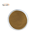 High Quality American Ginseng Extract