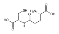 Gamma-glutamylcysteine