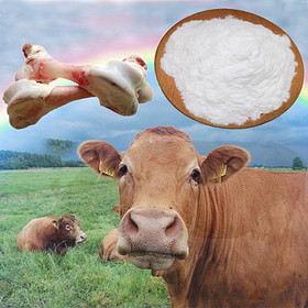 Bovine bone collagen