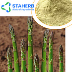 Asparagus powder Asgus powder asparago powder