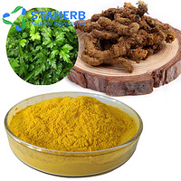 coptis chinensis powder goldthread powder coptis powder