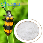 Chinese Blistering Beetle P.E Blister Beetle Mylabris Extract  Cantharides extract