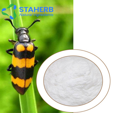 Chinese Blistering Beetle P.E Blister Beetle Mylabris Extract  Cantharides extract