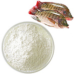 Tilapia protein