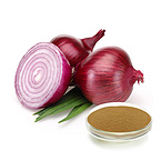 10:1 Onion Bulb Extract Powder