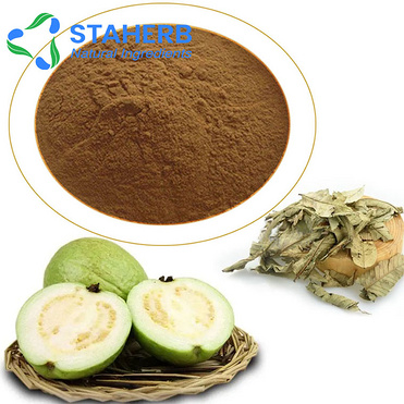 guayaba powder guaudio-videoa powder wax-apple powder Psidium powder guava powder