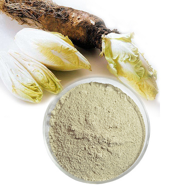 Chicory powder Escarole powder endive powder