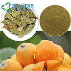 Loquat powder