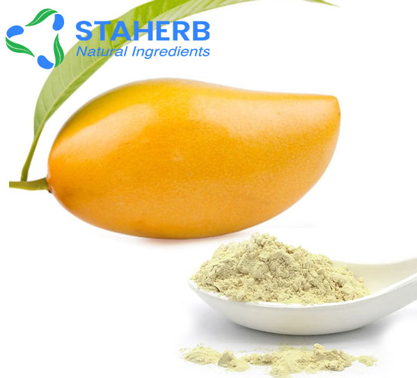 Mango powder Mangifera indica powder MNG powder chito melon powder