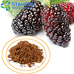 mulberry powder Mulberries powder morus powder alba powder sh powder