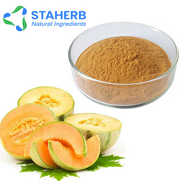 honey-dew melon extract hami melon extract MELON extract dew melon extract hami melon extract