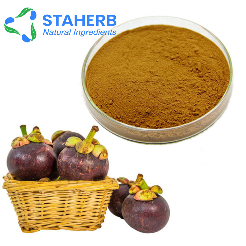 Garcinia mangostana powder mangosteen powder manggis powder  Mangkhut powder