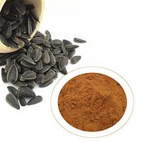 black melon seed powder black water melon seed powder