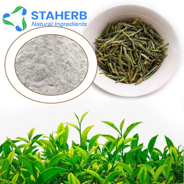 Green tea extract epigallocatechin 970-74-1