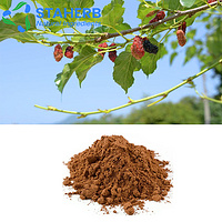mulberry extract Mulberries extract morus extract alba extract sh extract