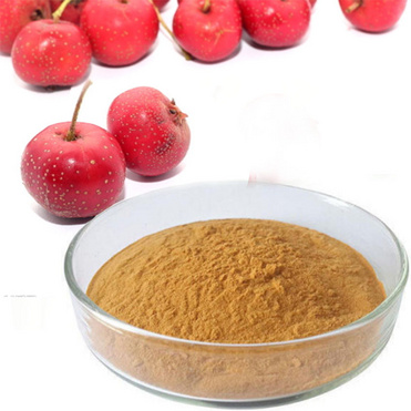 crataegus powder Hawthorn powder haw powder Fructus Crataegi powder