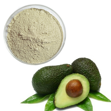 butyrospermum parkii powder Shea Butter powder Mimusops elengi powder avocado powder