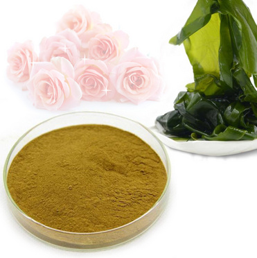 Kelp powder