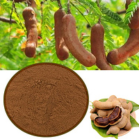 Tamarind powder