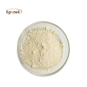 Factory Supply Psyllium Extract