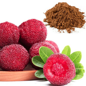 Myrica rubra powder red bayberry powder Arbutus powder waxberry powder myrica rubra powder