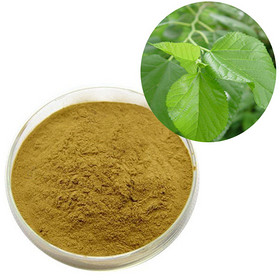 mulberry leaf extract Flavonoids 10%