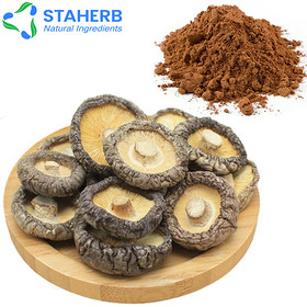 shiitake mushroom powde  champignon powder Mushrooms powder Lentinula edodes powder mushroom powder