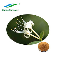 10:1 Honeysuckle Extract Powder