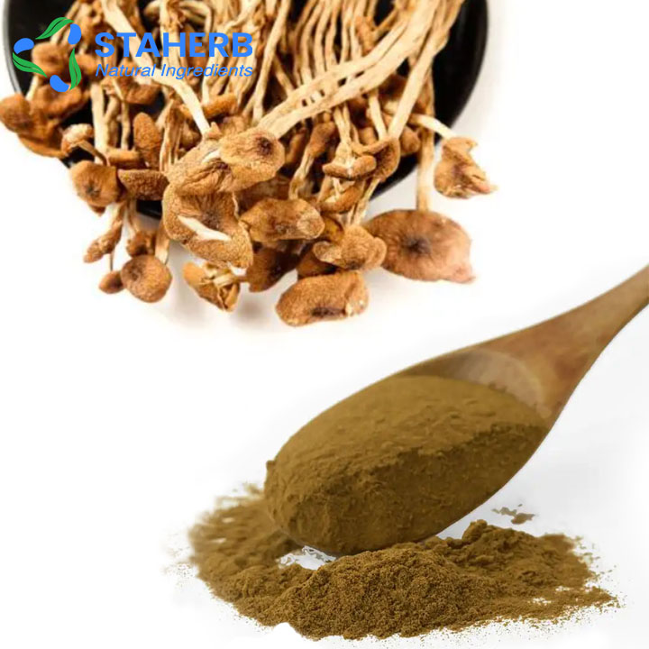 Tea Tree mushroom powder Agrocybe Cylindracea powder Agrocybe chaxingu powder Agrocybe aegirita powd