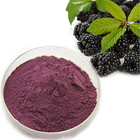 blackberry powder