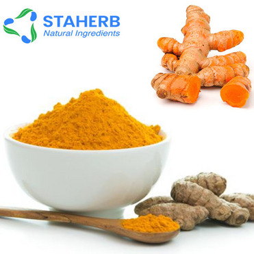 Curcuma longa powder rhizoma curcumae longae powder ginger yellow powder turmeric powder