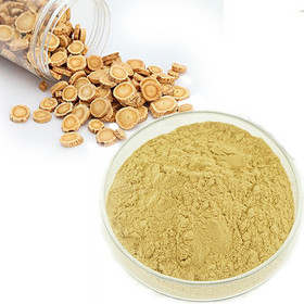 Astragalus extract Radix Astragali extract Astragalus membranaceus extract Astragalus mongholicus ex