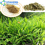 Lophatherum gracile extract Common Lophatherum Herb extract Herba Lophatheri extract Lophatherum gra