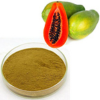 papaya powder papayawhip powder pawpaw powder Fructus Chaenomelis powder