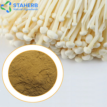 needle mushroom powder Flammulina velutipes powder enoki mushroom powder flammulina velutipes powder