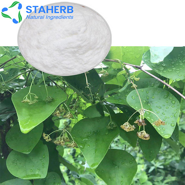 Stephania japonica extract Japanese Stephania Root extract Tabellae Cepharanthini extract Rotundine