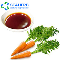 Carrot seed Oil Carrot Healing Carrot Oil Daucus carota 8015-88-1