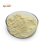 Ginsenosides Powder