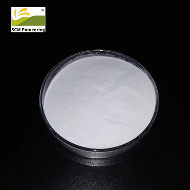 Beta cyclodextrin powder Best price of hydroxypropyl beta cyclodextrin 99% Powder