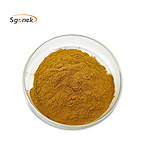 radix angelicae  powder