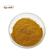 Toona sinensis powder