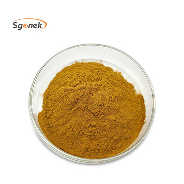 radix angelicae  powder