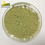 Pumpkin Seed Protein Powder Water Soluble Pumpkin Protein Powder