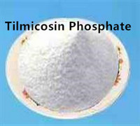 99% Tilmicosin phosphate powder factory