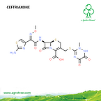 Ceftriaxone