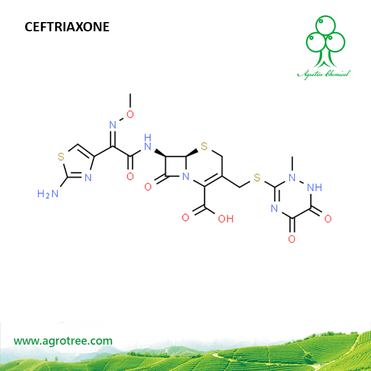 Ceftriaxone