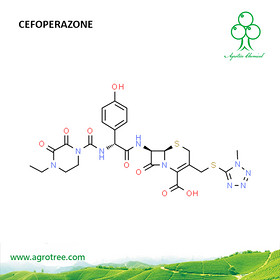 Cefoperazone