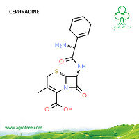 Cephradine